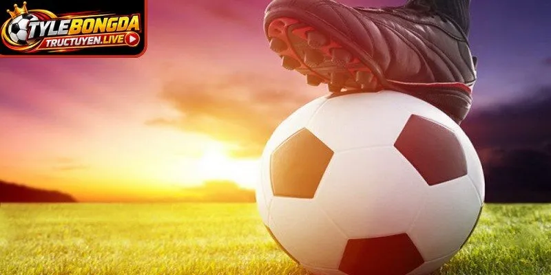 Các chữ viết tắt và ký hiệu có trong kèo Châu Âu
