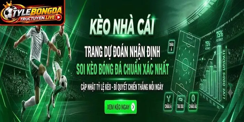 Tìm hiểu tổng quát về trang tỷ lệ bóng đá trực tuyến