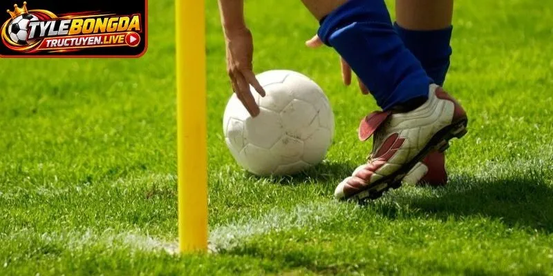 Cửa hiệp 1 độc lập , tách biệt hoàn toàn với kết quả chung cuộc
