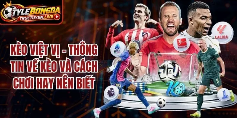 Kèo Việt Vị